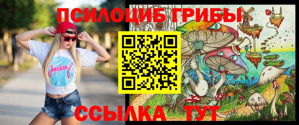 купить наркотик  Вход с VPN  Усолье-Сибирское  Галлюциногенные грибы Psilocybe 